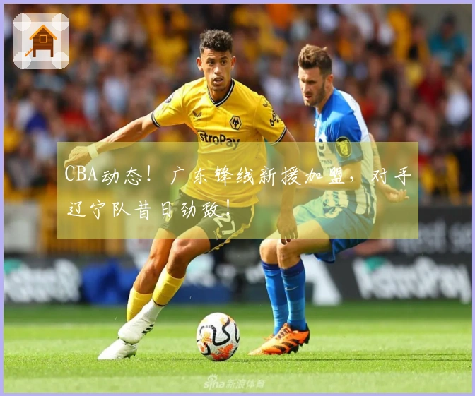 CBA动态！广东锋线新援加盟，对手辽宁队昔日劲敌！