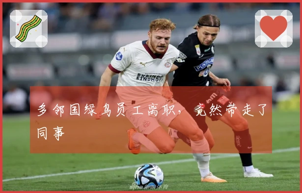 多邻国绿鸟员工离职，竟然带走了同事